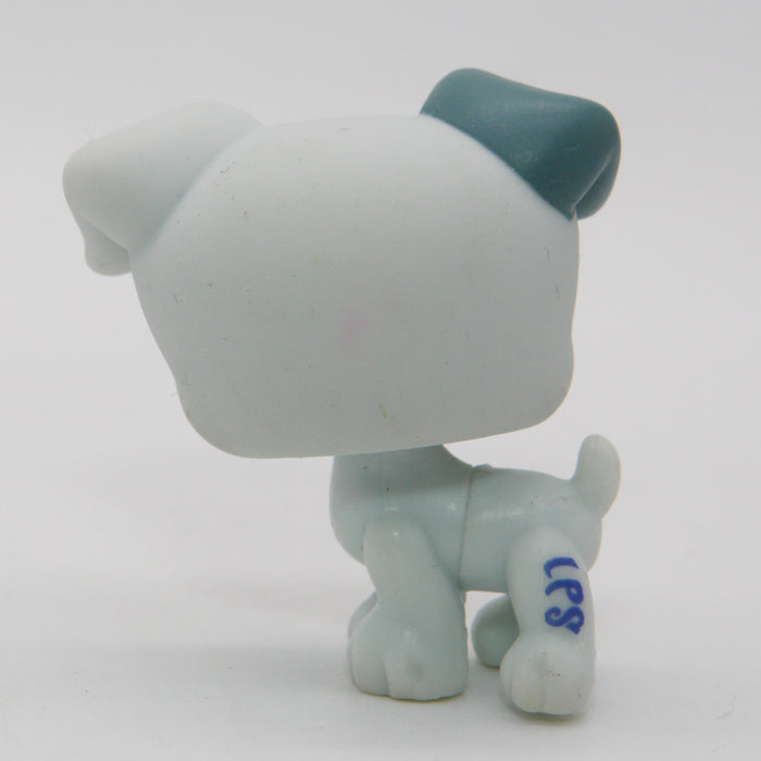 Littlest Petshop Jack Russell #1426