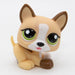 Littlest Petshop koira pentu #1878 - Elli