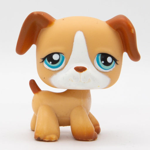 Littlest Petshop Bokseri #218 - Elli