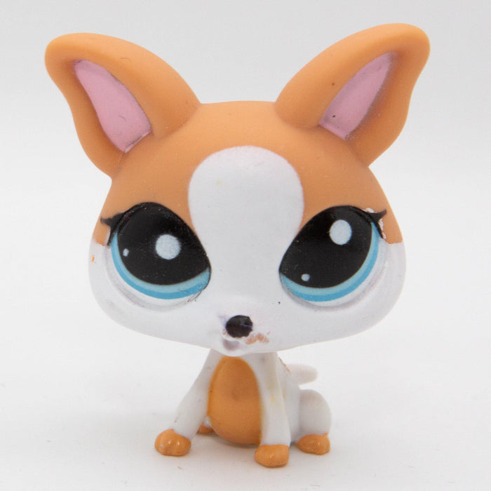 Littlest Petshop Chihuahua #2072 - Elli