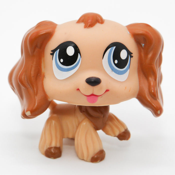 Littlest Petshop Cockerspanieli #1318