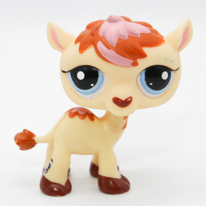 Littlest Petshop Kameli #2579