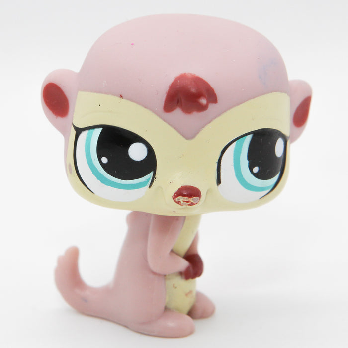 Littlest Petshop Mangusti #1564