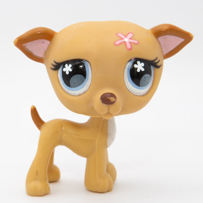 Littlest Petshop Vinttikoira #498