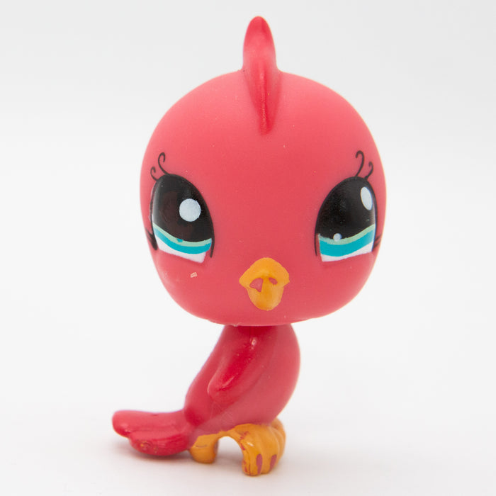 Littlest Petshop Undulaatti #1033