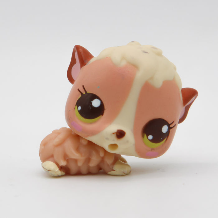 Littlest Petshop vauva Marsu #2630