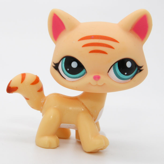 Littlest Petshop Kissa #1572