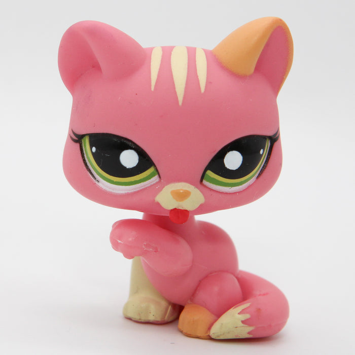 Littlest Petshop Kissa #1562