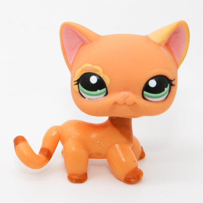 Littlest Petshop seisova Kissa #1643