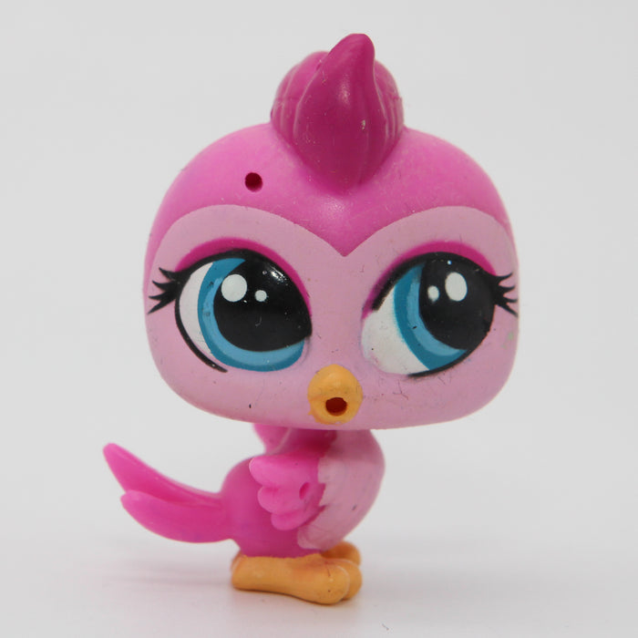 Littlest Petshop Lintu #3698