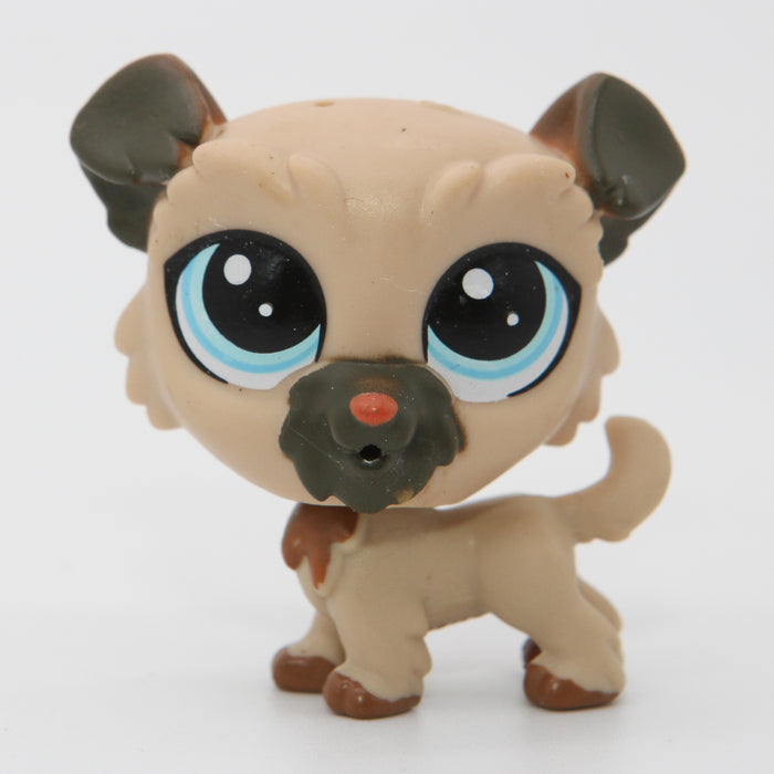 Littlest Petshop Vehnäterrieri #120