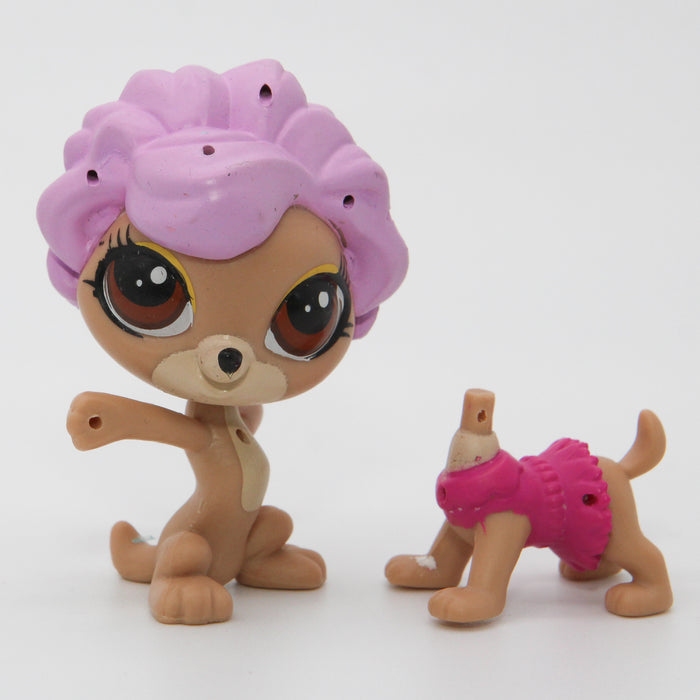 Littlest Petshop Kissa #3692