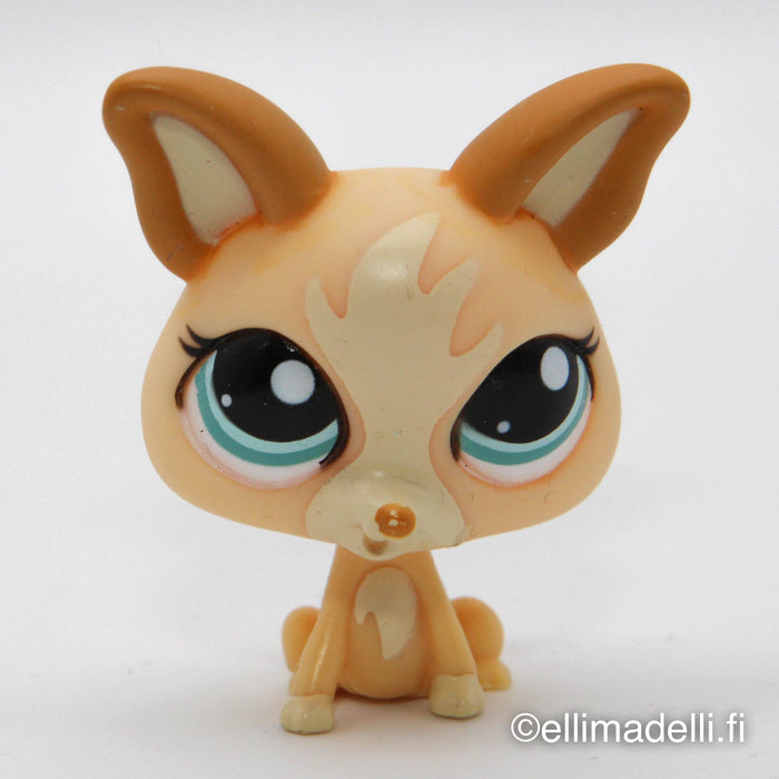 Littlest Petshop Chihuahua #1656 - Elli