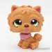 Littlest Petshop Chow Chow koira #1157 - Elli