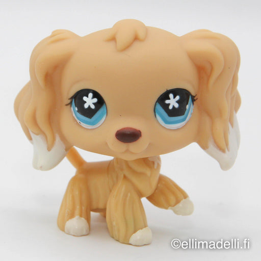 Littlest Petshop Cockerspanieli koira #748 - Elli