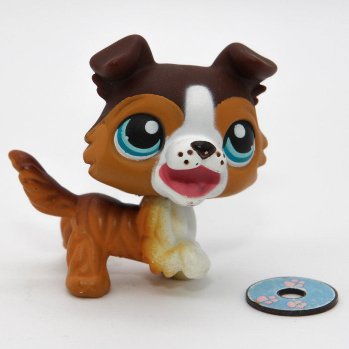 Littlest Petshop Collie koira #237 - Elli