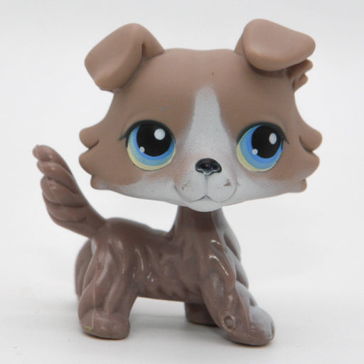 Littlest Petshop Collie koira #67 - Elli