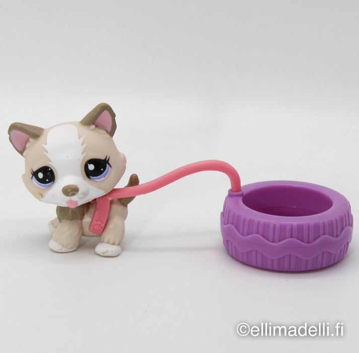 Littlest Petshop Husky #1817 - Elli