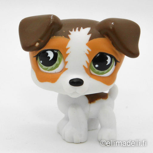 Littlest Petshop Jack Russell #804 - Elli