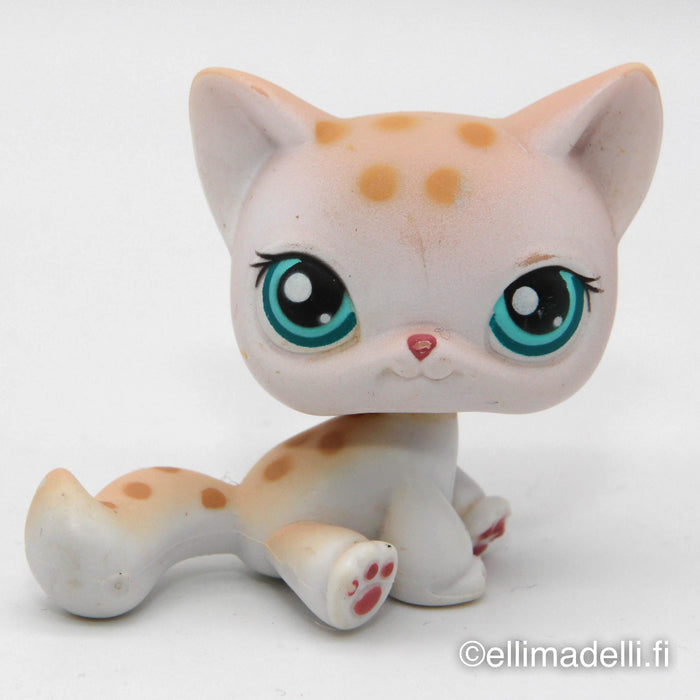 Littlest Petshop Kissa #224 - Elli