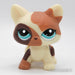 Littlest Petshop Kissa #2475 - Elli