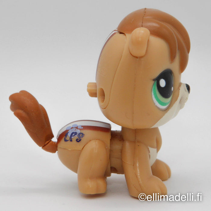 Littlest Petshop Orava #2111 - Elli