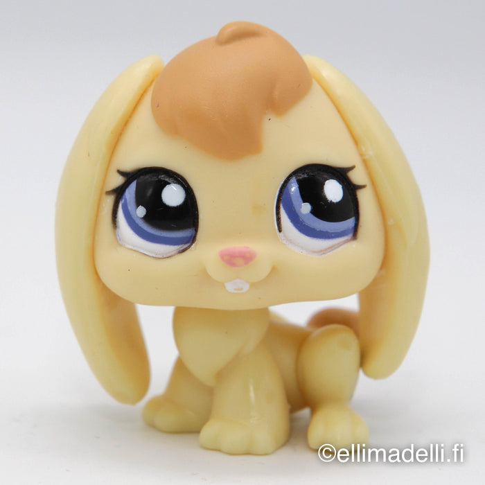 Littlest Petshop Pupu #1642 - Elli