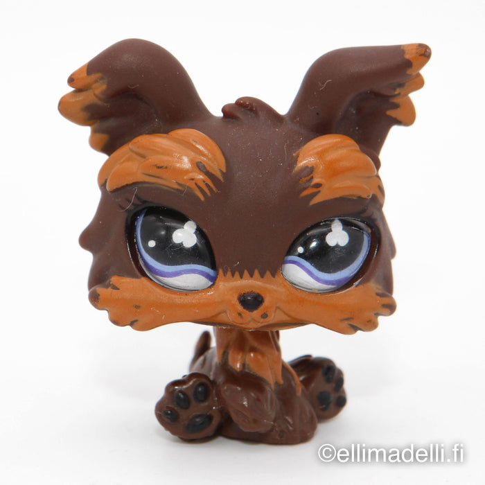 Littlest Petshop Yorkshiren terrieri #509 - Elli