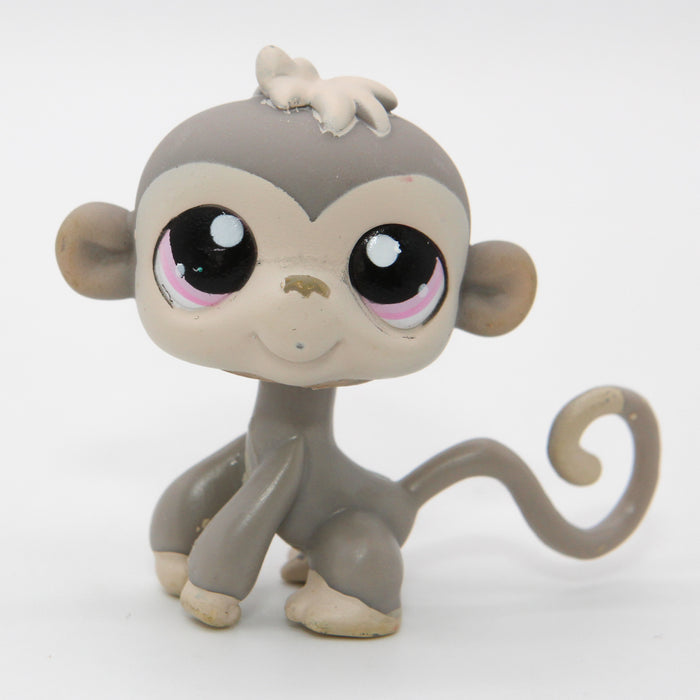 Littlest Petshop Apina #1029