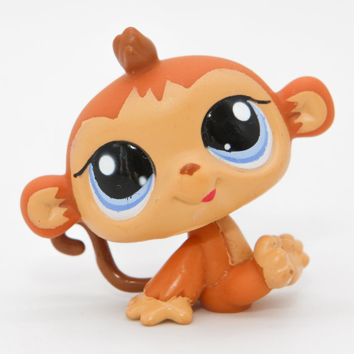 Littlest Petshop Apina #1553