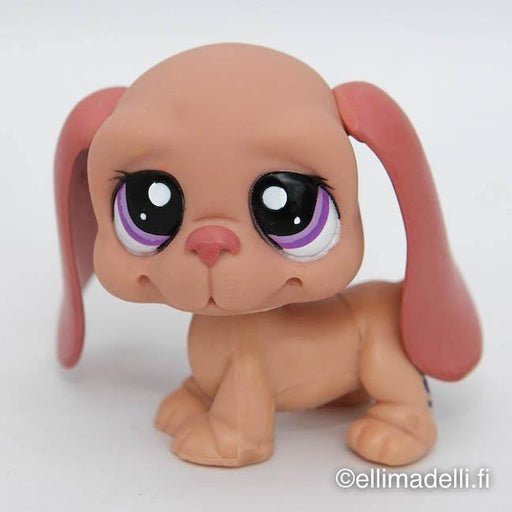 Littlest Petshop Basset koira #2027 - Elli