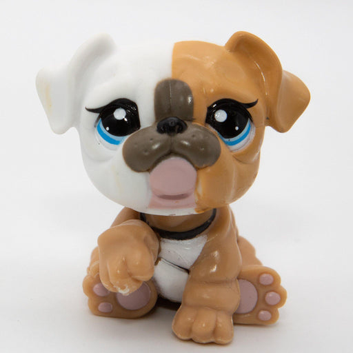 Littlest Petshop Bulldog koira #3587 - Elli