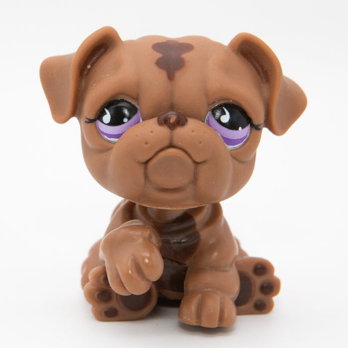 Littlest Petshop Bulldog koira #881