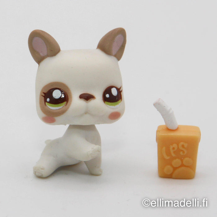 Littlest Petshop Bulldog vauva #2554 - Elli