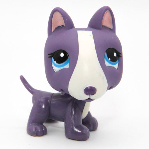 Littlest Petshop Bullterrieri #2448 - Elli