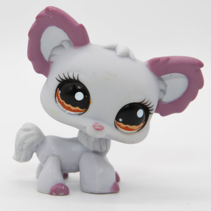 Littlest Petshop Chihuahua #1138