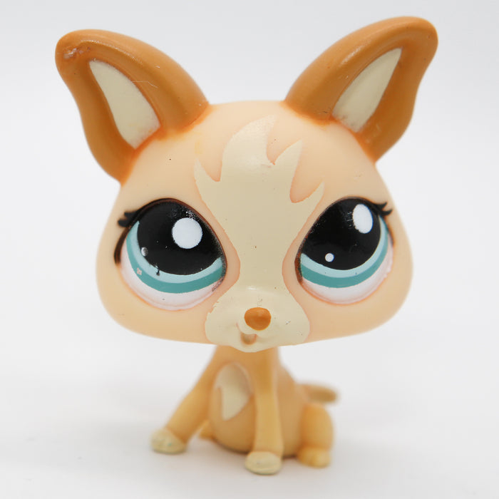 Littlest Petshop Chihuahua #1656