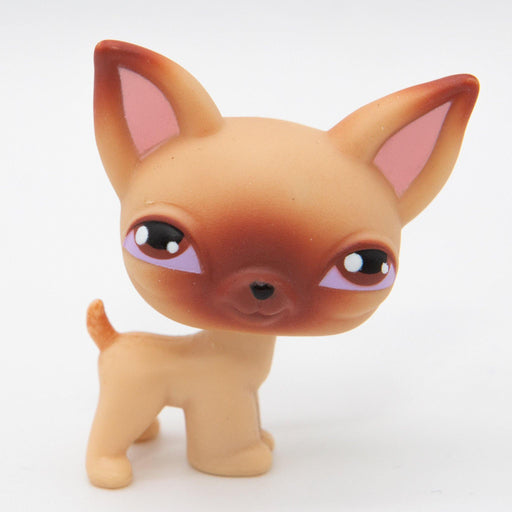 Littlest Petshop Chihuahua koira #1 - Elli