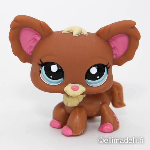 Littlest Petshop Chihuahua #1623 - Elli