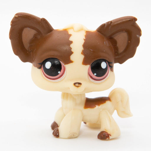 Littlest Petshop Chihuahua koira #385 - Elli