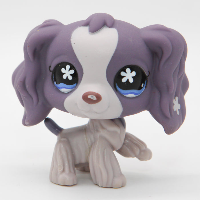 Littlest Petshop Cockerspanieli #672