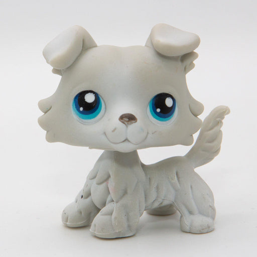 Littlest Petshop Collie #363 - Elli