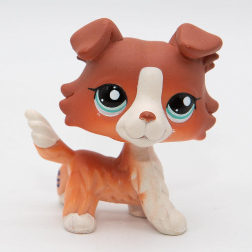 Littlest Petshop Collie koira #1542 - Elli