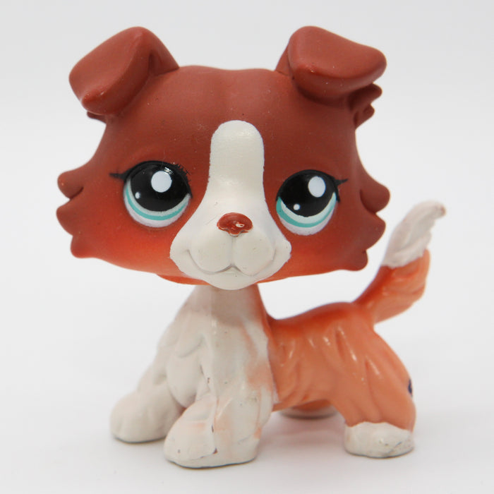 Littlest Petshop Collie koira #1542