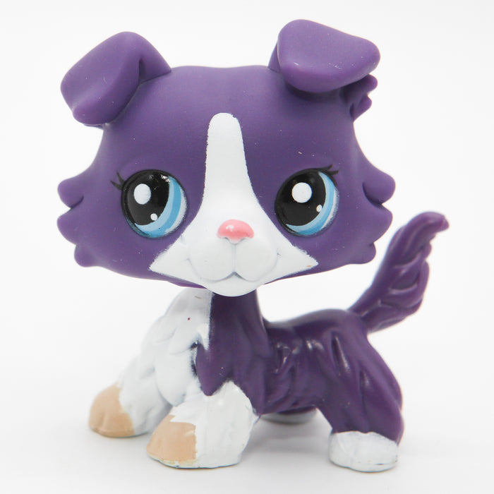 Littlest Petshop Collie koira #1676