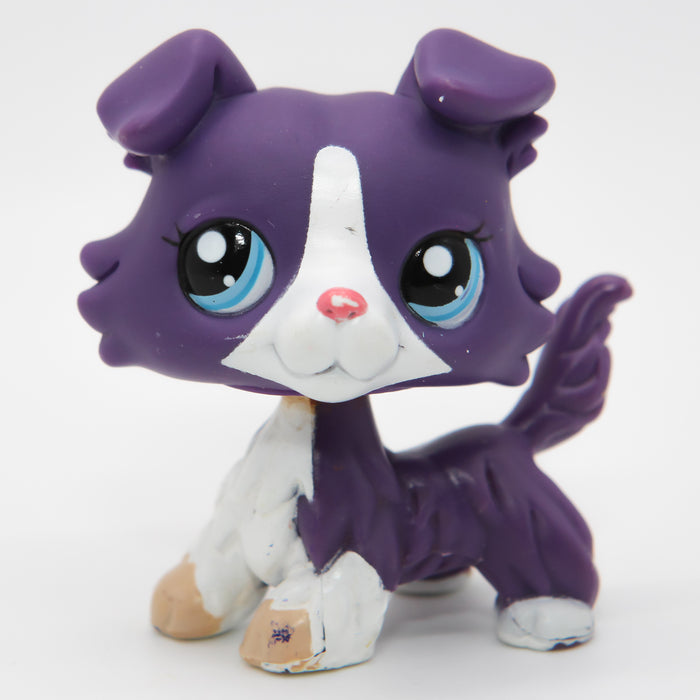 Littlest Petshop Collie koira #1676