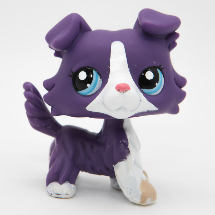 Littlest Petshop Collie koira #1676