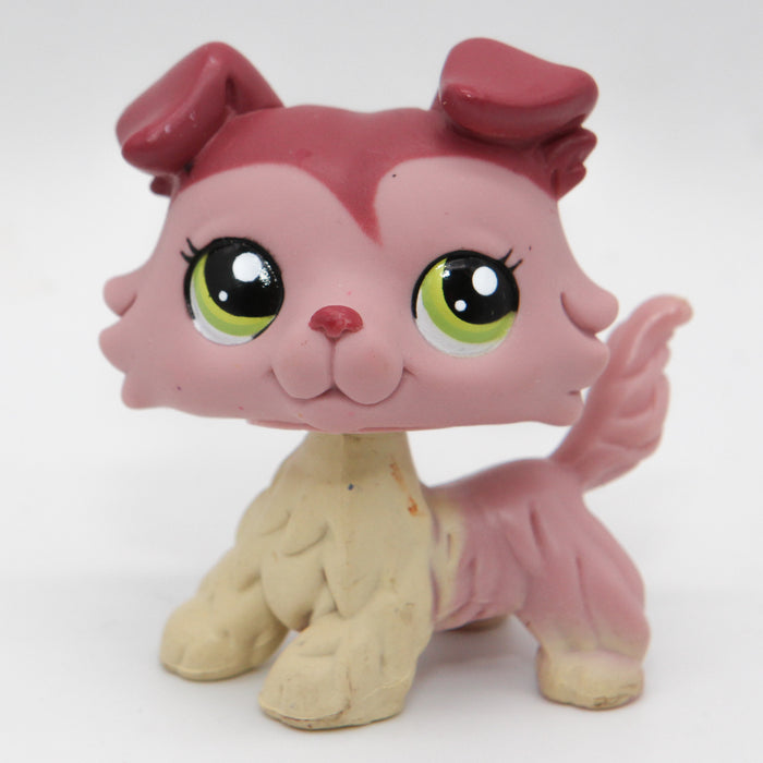 Littlest Petshop Collie koira #1723