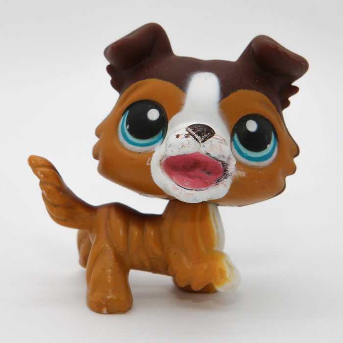 Littlest Petshop Collie koira #237