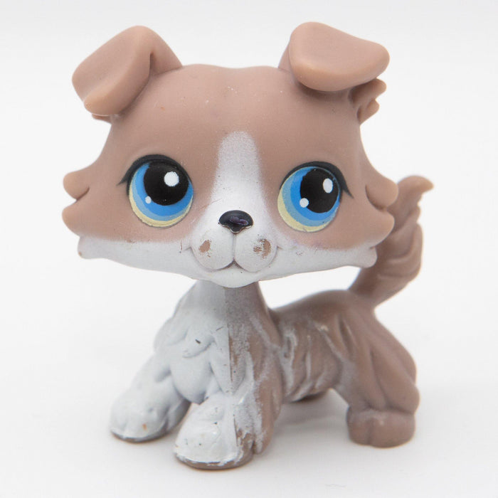 Littlest Petshop Collie koira #67 - Elli